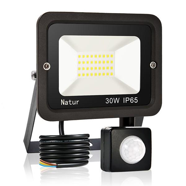 bapro 30W Security Lights with Motion Sensor,Led Floodlight Super Bright, Garden Lights Cold White(6000K), IP65 Waterproof Perfect for Garage, Garden and Forecourt[Energy Class A++]